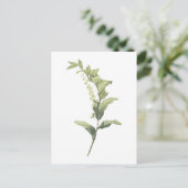 Solomon's Siegel (Polygonatum multiflorum) von Red Postkarte (Stehend Vorderseite)