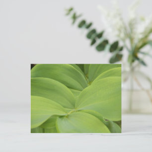 Solomons-Siegel Postkarte