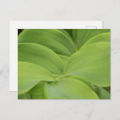 Solomons-Siegel Postkarte (Vorne/Hinten)