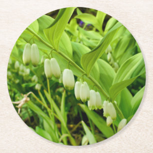 Solomons-Siegel Runder Pappuntersetzer