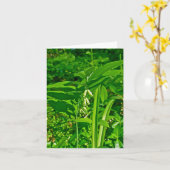 Solomons Siegel-Wildblume Karte (Gelbe Blume)