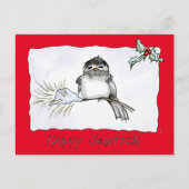 Solstice Chickadee Postkarte (Vorderseite)
