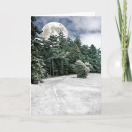 Solstice Full Moon Trail to the Woods Karte