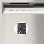 Solstice Sessings Magnet (In Situ (Geschirrspüler))