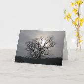 Solstice Sun I Karte (Gelbe Blume)