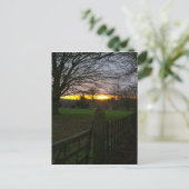 Solstice Sunset Postkarte (Stehend Vorderseite)