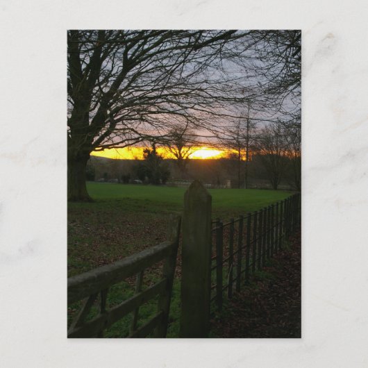 Solstice Sunset Postkarte (Vorderseite)