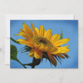 Solstille Party Einladung (Vorderseite)