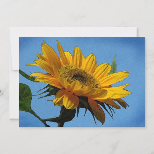 Solstille Party Einladung (Vorderseite)