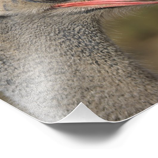 Solvang, CA Fotodruck (Ecke)