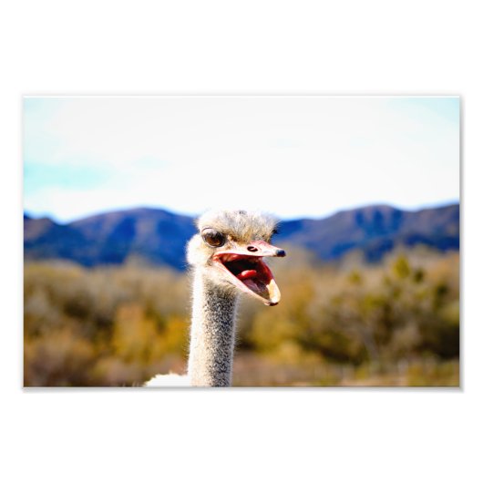 Solvang, CA Fotodruck (Vorne)