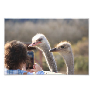 Solvang, CA Fotodruck