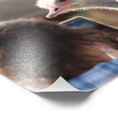 Solvang, CA Fotodruck (Ecke)