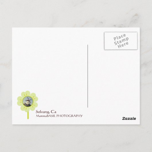 Solvang Windmill Postcard! Postkarte (Rückseite)