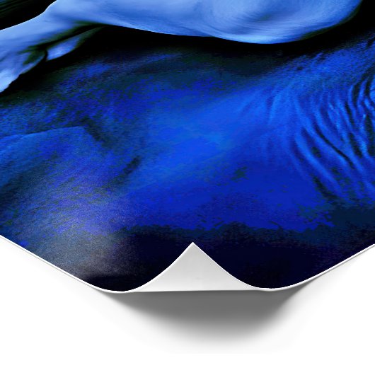 "Sólvátra" - Flamme unter Eis Poster (Ecke)