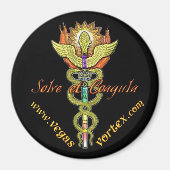 Solve Caduceus Magnet (Vorne)