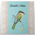 Somali Bee Eater Bird mit Namen auf Aqua Fliese<br><div class="desc">Dieses Design zeigt den hübschen Vogel "Bienenfresser" (Merops revilii) mit seinen lebhaften und farbenfrohen Federn und dem Absturz. Dieser Juwelenvogel fängt, wie sein Name schon sagt, verschiedene Insekten ein. Diese Art findet sich im Allgemeinen nur in Äthiopien, Kenia, Saudi-Arabien, Somalia und Tansania. Manche glauben, dieser Vogel habe sich vom Königsfischer...</div>