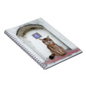 Somali Cat in Alcove Old World Scene Notizblock (Rechte Seite)
