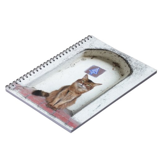 Somali Cat in Alcove Old World Scene Notizblock (Linke Seite)