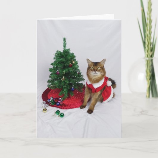 Somali Cat Santa Tree Dekorieren Weihnachtskarte Dankeskarte (Vorderseite)