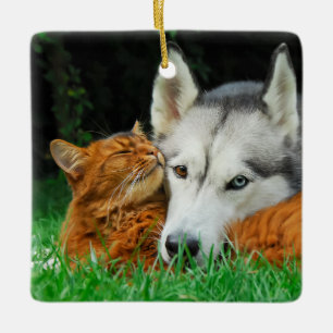 Somali Cat Siberian Husky Niedlich Friends Huddle Keramikornament