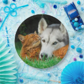 Somali Cat Siberian Husky Niedlich Friends Huddle Pappteller (Party)