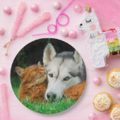 Somali Cat Siberian Husky Niedlich Friends Huddle Pappteller (Party)