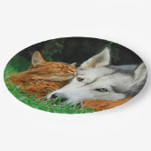 Somali Cat Siberian Husky Niedlich Friends Huddle Pappteller (Schrägansicht)
