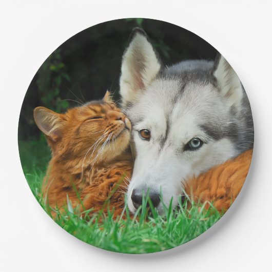 Somali Cat Siberian Husky Niedlich Friends Huddle Pappteller (Vorderseite)