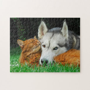 Somali Cat Siberian Husky Niedlich Friends Huddle  Puzzle