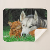 Somali Cat Siberian Husky Niedlich Friends Huddle Sherpadecke (Vorderseite (Horizontal))
