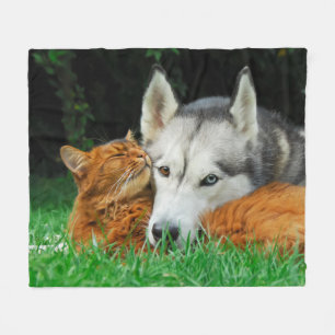 Somali cat Sibirier Husky niedliche Freunde schluc Fleecedecke