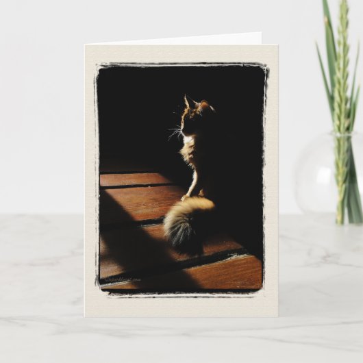 Somali Cat Silhouette Card Karte (Vorderseite)