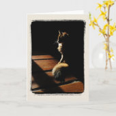 Somali Cat Silhouette Card Karte (Gelbe Blume)