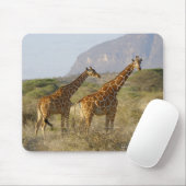Somali Giraffe, retikulierte Giraffe, Giraffa Mousepad (Mit Mouse)