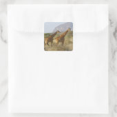 Somali Giraffe, retikulierte Giraffe, Giraffa Quadratischer Aufkleber (Tasche)