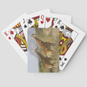 Somali Giraffe, retikulierte Giraffe, Giraffa Spielkarten (Rückseite)