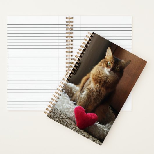 Somali Katze mit Herz Notizblock (Innen)