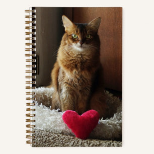 Somali Katze mit Herz Notizblock