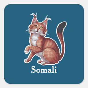 Somali Quadratischer Aufkleber
