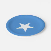Somalia Flag Pappteller (Schrägansicht)