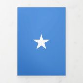 Somalia-Flagge Dreifach Gefaltete Karte (Cover)