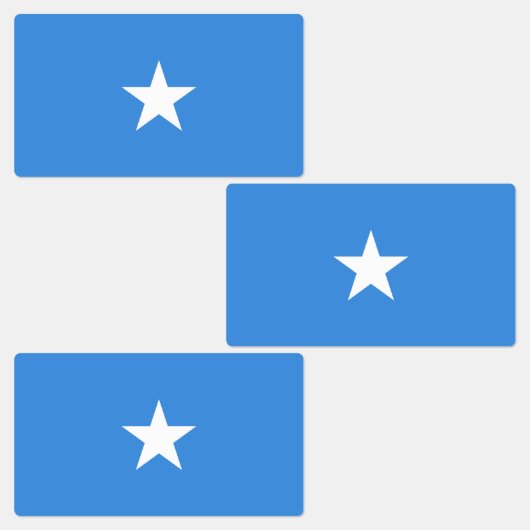 Somalia-Flagge Etiketten (Gruppe)
