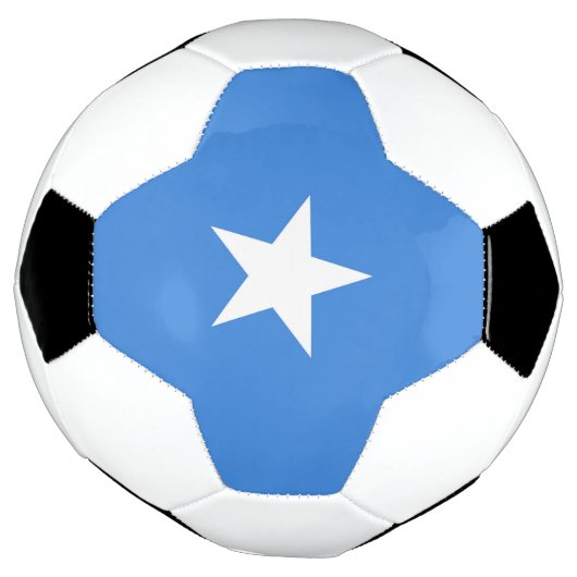 Somalia-Flagge Fußball (Gedreht)