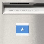Somalia-Flagge Magnet (In Situ (Geschirrspüler))