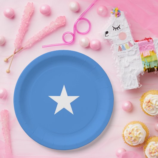 Somalia-Flagge Pappteller (Party)