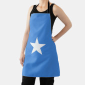 Somalia-Flagge Schürze (InSitu)