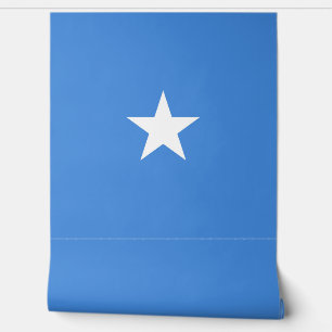 Somalia-Flagge Tapete