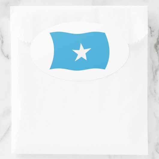 Somalia-Flaggenaufkleber Ovaler Aufkleber (Tasche)
