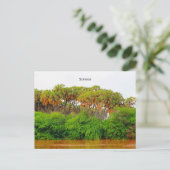 Somalia, Landschaftsfotografie Postkarte (Stehend Vorderseite)
